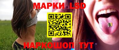 mdma Гатчина