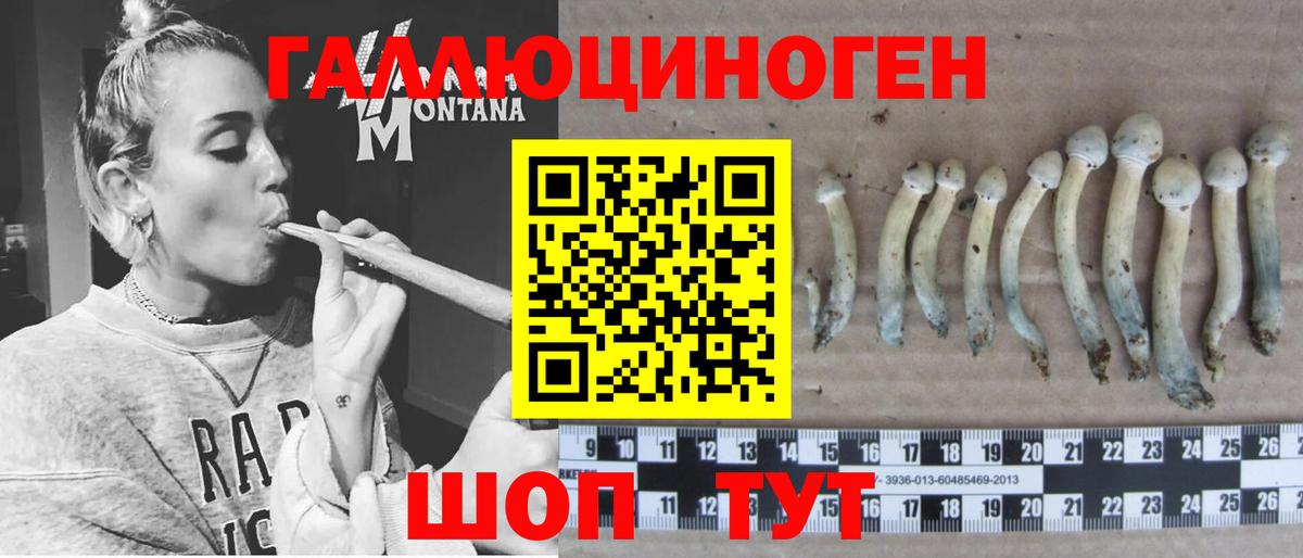 Чапаевск  Галлюциногенные грибы прущие грибы  Вход с VPN 